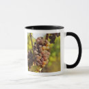 Search for raymond mugs Land