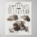 Recherche de surgery posters Vintage