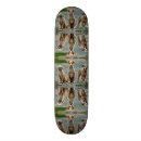 Search for friend skateboards Dog