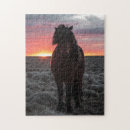 Recherche de cheval mustang puzzles Coucher de soleil
