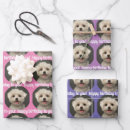 Recherche de peter papier cadeau Rose