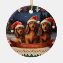 Search for badger ornaments Wiener dog