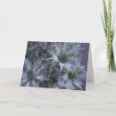 Search for ghosts cards Floral