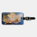 Search for frozen luggage tags Nature