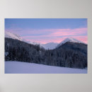 Recherche de arbre nu posters Nature