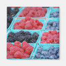 Search for berries magnets Food