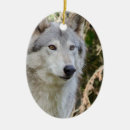 Search for white wolf ornaments Dog