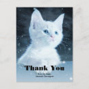 Recherche de gros chat vœux cartes Félin