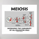 Recherche de cellules posters Éducation