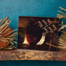 Recherche de vin rouge plaques Pour tous