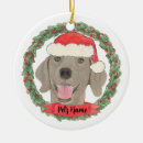 Search for weimaraner ornaments Red