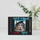Search for aussie shepherd postcards Australian shepherd dog lovers