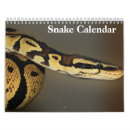 Search for snake calendars Lizard