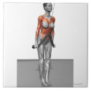 Search for light weight posters Work