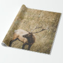 Recherche de elfes papier cadeau Vintage