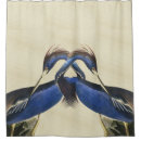 Search for heron shower curtains Wildlife