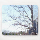 Search for spooky ghost electronics Tree