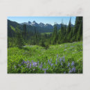 Search for cascade range postcards Nature