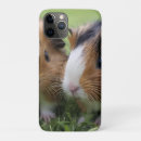 Search for rodent iphone cases Cavy