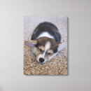 Search for cutest art Corgi