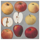 Search for teacher fabric Apples