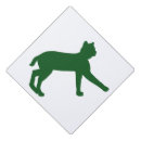 Recherche de calandres Sauvage