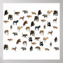 Recherche de animaux zoo posters Pour enfants