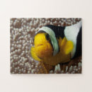 Recherche de clown puzzles Vie marine