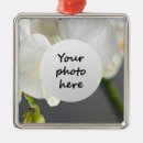 Search for white orchids ornaments Floral