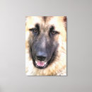 Recherche de german shepherd art Gsd