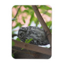 Recherche de hiboux magnets Rapaces