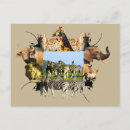 Search for zebra blue postcards Nature