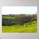 Search for bare trees posters Season