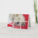 Recherche de chiot golden retriever vœux cartes Vacances