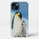 Search for baby penguin iphone cases Animals in the wild