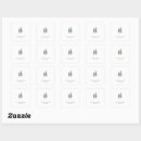 Search for white pine stickers Evergreen trees