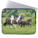 Search for horse laptop cases Foal