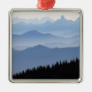 Search for cascades ornaments Landscape