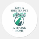 Search for shelter stickers Cats