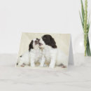 Search for springer cards Pup