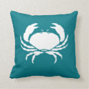 Search for aqua pillows Nautical