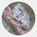 Search for nocturnal animal stickers Nature