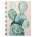 Recherche de cactus carnets Plante
