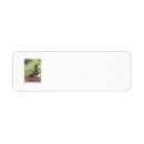 Search for quail return address labels Bird