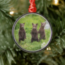 Search for brown bear ornaments Animal
