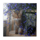 Recherche de minou carreaux Fleurs