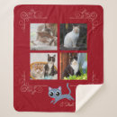 Search for cute cat photo blankets Kittens