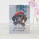 Search for pointer cards Cute