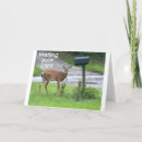 Search for deer funny birthday cards Hunter