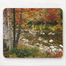 Search for river fall mousepads Forest